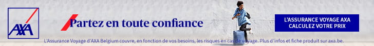 Voyage Assistance